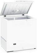 Congelador Industrial 209L con Puerta Abatible y Termostato Ajustable