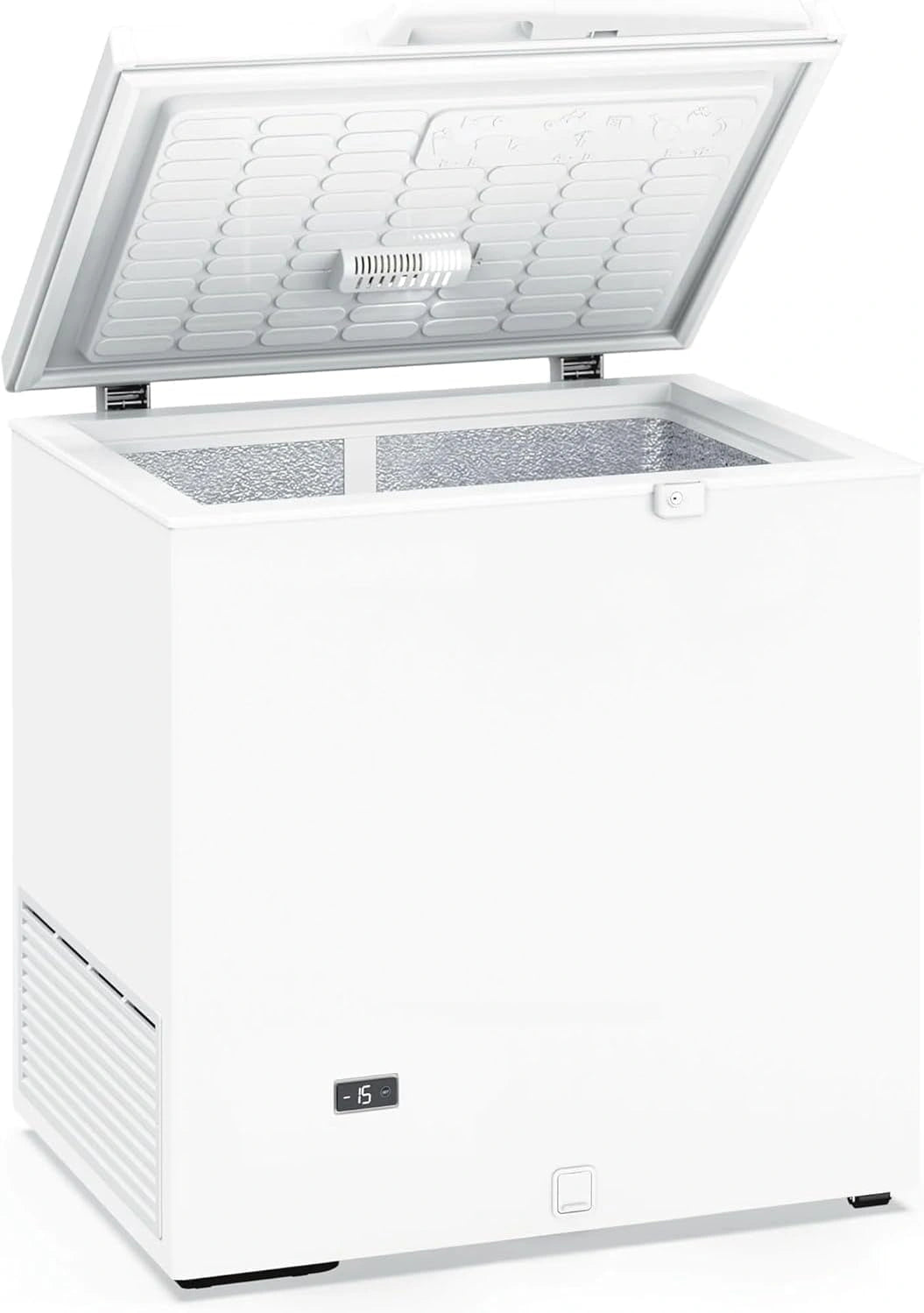 Congelador Industrial 209L con Puerta Abatible y Termostato Ajustable